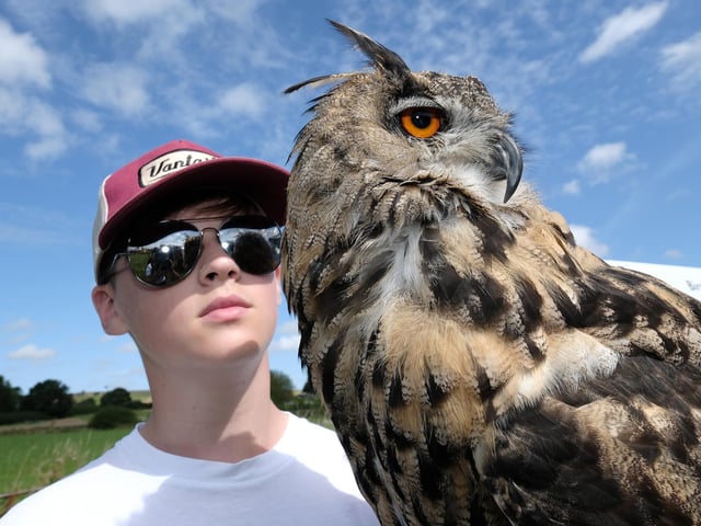 Sam Mitchell with a European Eagle Owl.