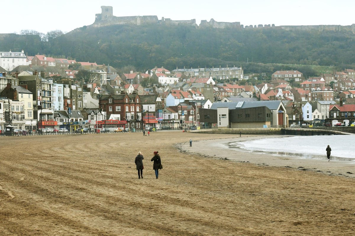 Coastal grass cutting and bus shelters part of council’s £100,000 savings plan for Scarborough area