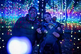 Winter Illuminations at Stockeld Park
