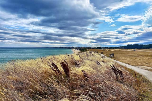 Wild grass sways in the breeze at Sewerby. Picture taken by Aled Jones.