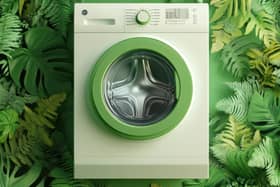 Eco-friendly washing (photo: Adobe)