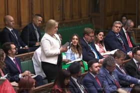 Scarborough and Whitby MP Alison Hume speaks in Parliament.