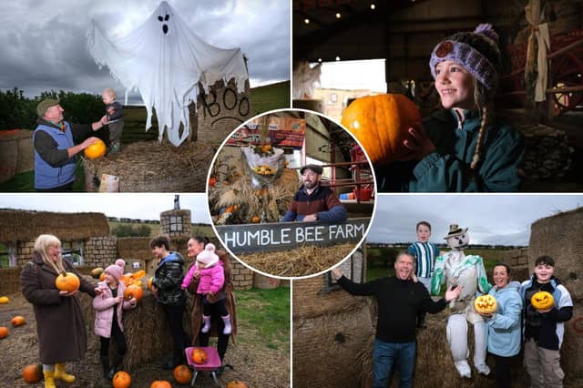 Halloween at Humble Bee Farm