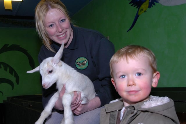 Pictured at the Butterfly House, Hungerhill Farm, in 2001, where Sharon Bird the animal trainer is seen with Dumbolina the 10 day old goat, and young visitor Charlie Fairest 3 for Fulwood, Sheffield.