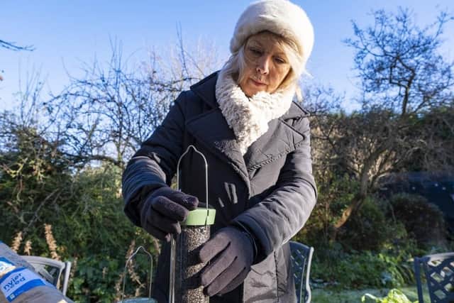 Keeping your feeders clean is also essential to help reduce the spread of disease. Photo: Sam Turley/RSPB Images