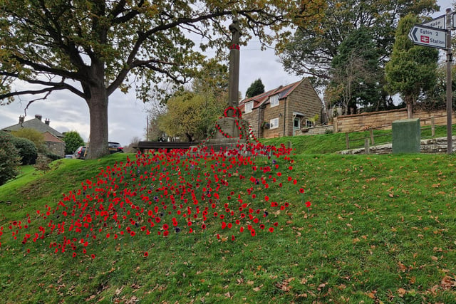 Poppies at the Glaisdale war memorial on Carr Lane.
picture: Lou Perrin.