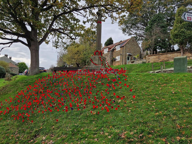 Poppies at the Glaisdale war memorial on Carr Lane.
picture: Lou Perrin.