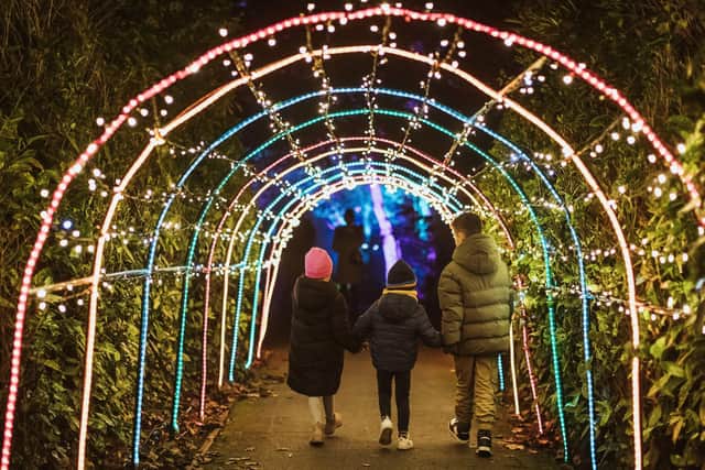 This year’s theme features the legend of the Golden Goose, who has used her magic to light the woodland around the popular venue.