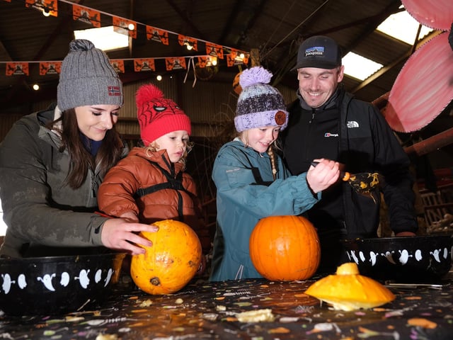Pumpkin carving fun