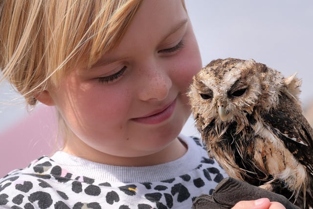 Erin with an Owl