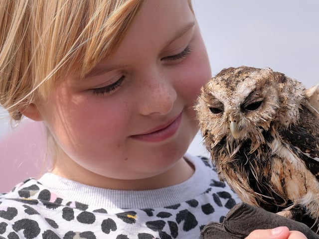 Erin with an Owl