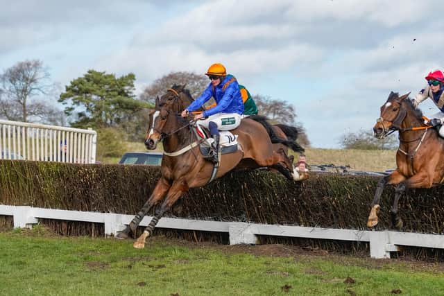 Tom Easterby steered Morozov Cocktail to victory for his brother, trainer Will Easterby of Great Habton, in the Moneyweb Conditions race. Photo by Tom Milburn Photography