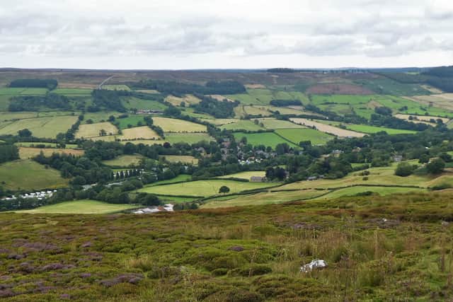 Rosedale.