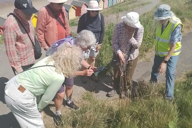 The REConnect project, a major five-year initiative to strengthen and improve community connection with the River Esk, has been launched in Whitby.