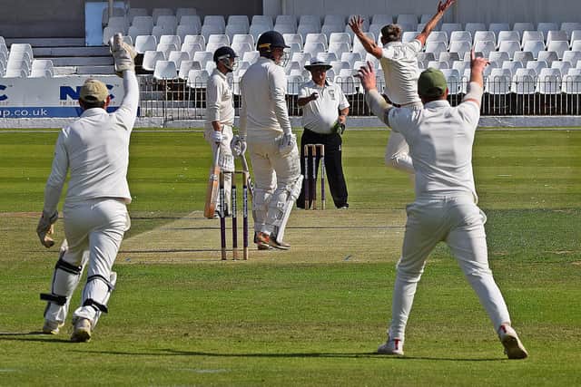 Home batsman Harry Walmsley falls leg before wicket.