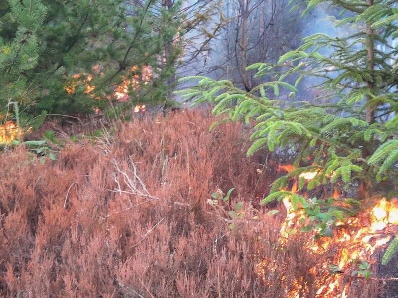 The dry conditions meant the fire could spread.