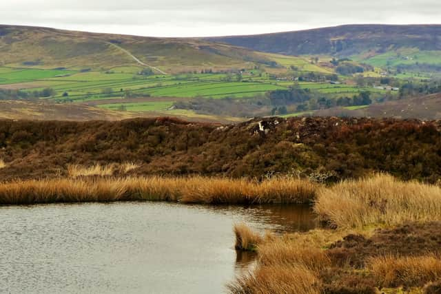 Pond above Castleton.