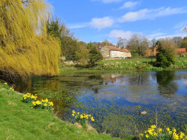 MARCH - Brompton, by Sue Gurney