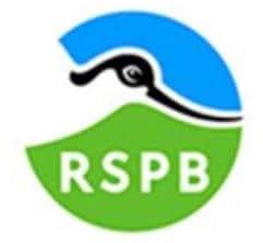 The RSPB Bempton column with Ivan Nethercoat