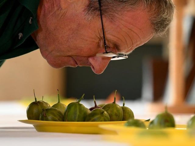 Egton Bridge Old Gooseberry Society show, on Tuesday August 5, 2025.