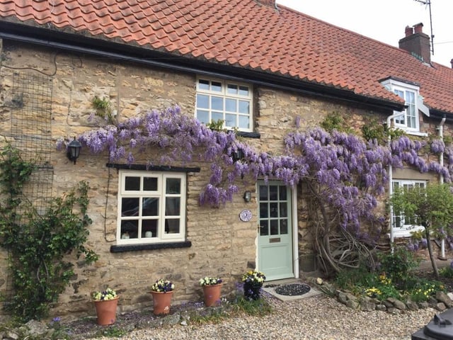 Looking across the front of the wisteria-clad cottage.