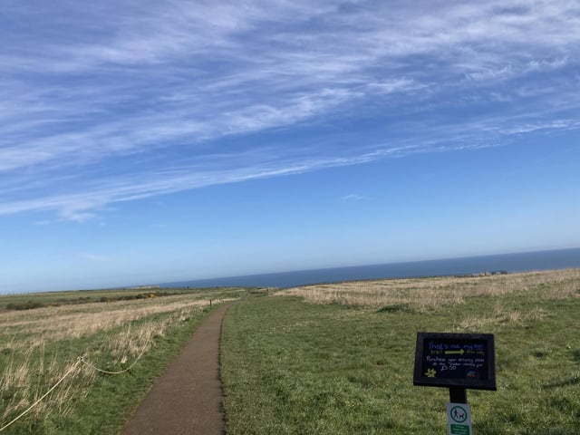 There has been stunning blue skies over the grasslands at the top of the reserve, where many ground nesting birds will be beginning to make their nests.