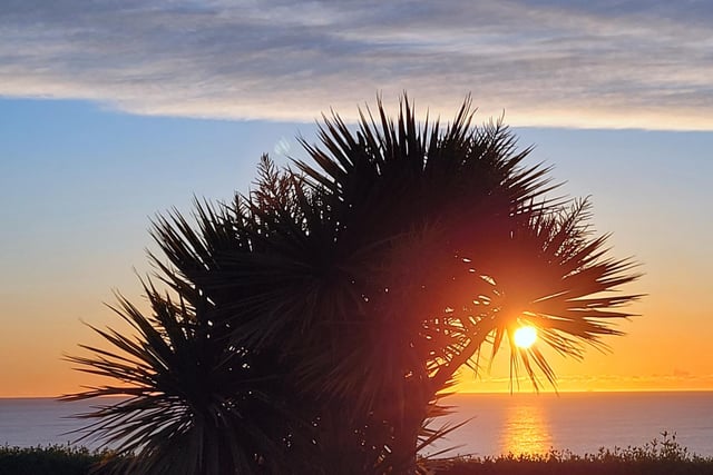 A stunning sunrise at South Cliff, by Coralie McGrath.