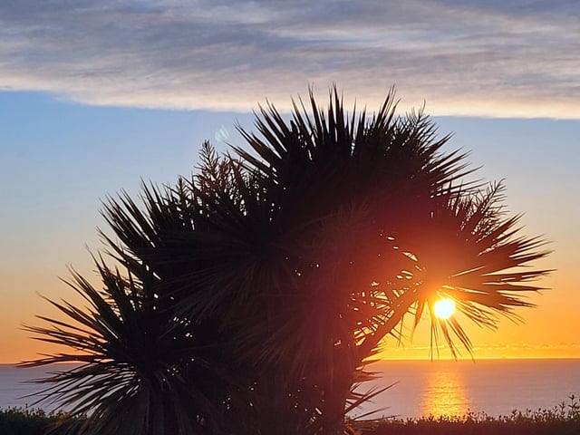 A stunning sunrise at South Cliff, by Coralie McGrath.