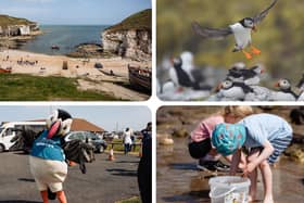 The Yorkshire Puffin Festival