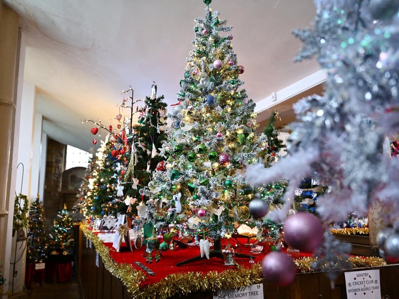 Trees looking very festive. photo: Richard Ponter
