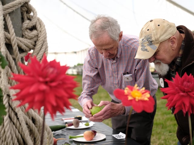 Egton Show judging.