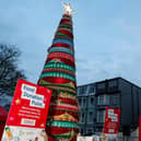 Tesco and its charity partners in Scarborough have created a 20ft tree made entirely from the top ten most needed food items this Christmas. (Picture by Andrew Parsons / Parsons Media)