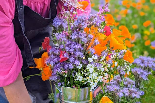 Pick your own flowers in the fields near Helmsley