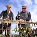 The traditional Penny Hedge building takes place in Whitby ...Chris Ford and Lol Hodgson working on the hedge