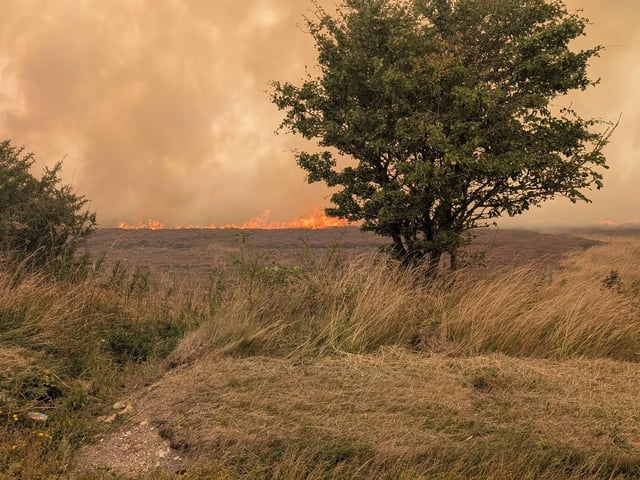 The fire originally began on August 11.