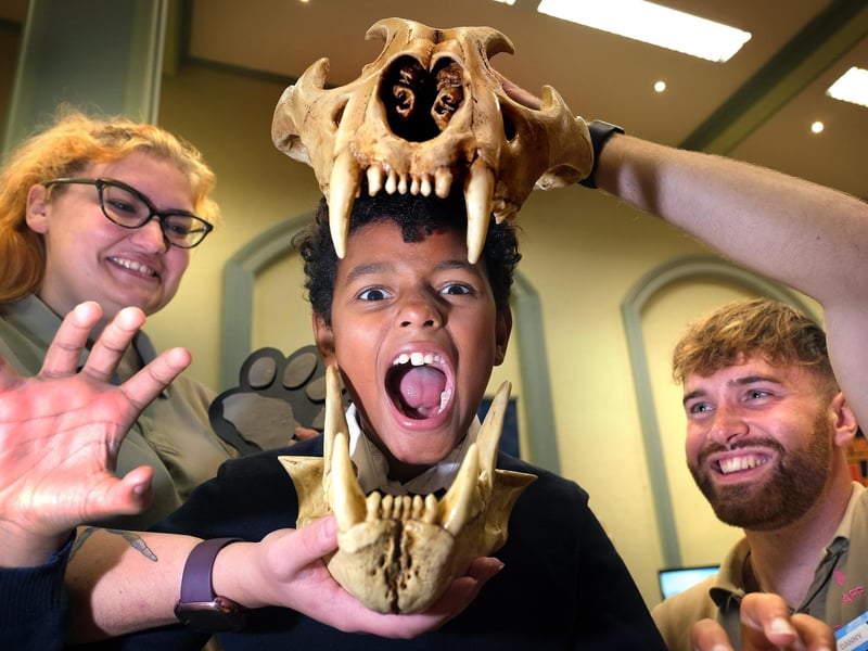 Scarborough Science Week - a St Martin's pupil gets up close with a lion skull at the Flamingo Land stall