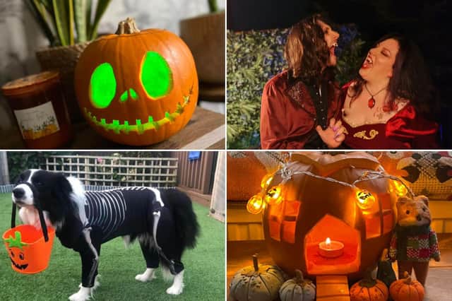 Let us know what you are doing this Halloween!