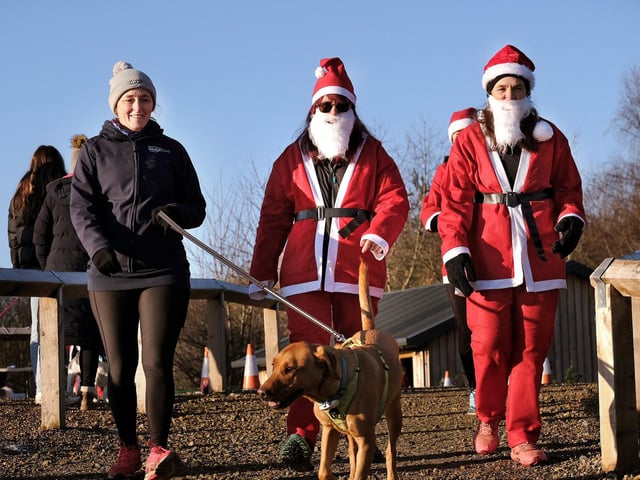 Enjoying a walk around the course.
picture: Richard Ponter, 2251350s
