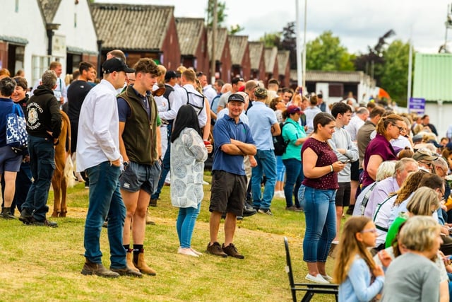 Hundreds of visitors watching the judging of the British Simmental and British Blue Class on the second day of the show