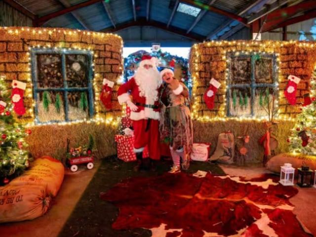 Humble Bee Farm glamping and camping site at Flixton, between Filey and Scarborough, will be welcoming everyone who believes in Santa Claus to its Magical Christmas Experience starting on Saturday, December 6 and continuing on various dates in the run up to Christmas. Santa will visit the Christmas grotto and create magic with each family, before dancing the night away with Esmeralda and all the children! This ticketed event includes fabulous festive light displays, a farm-inspired Christmas grotto, and the fun and friendly farmyard gang who will be safe and sound in their winter pens.