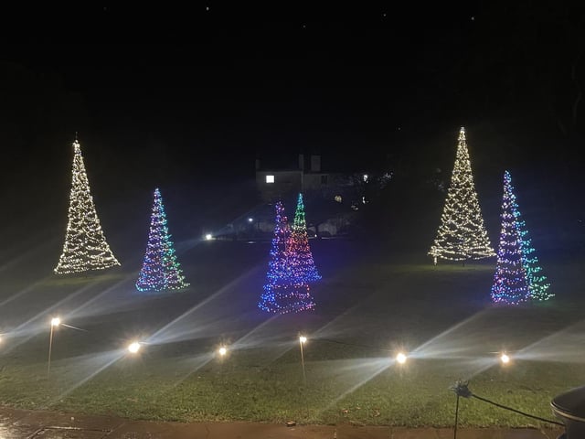 Here is a Christmas tree light display twinkling away near the woodland.