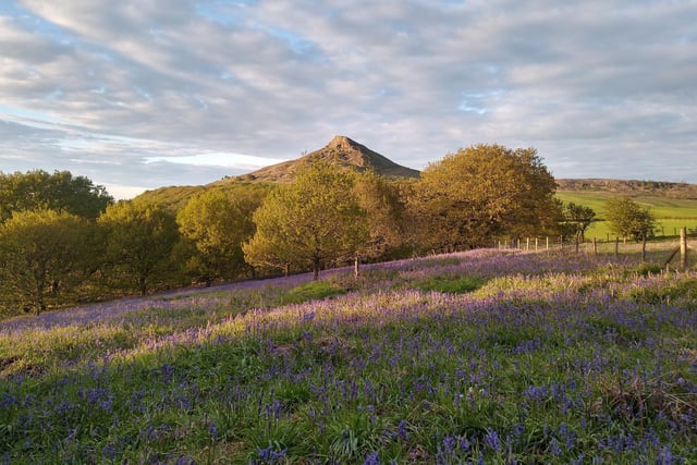 Bluebells at Roseberry topping by Sally Michulitis