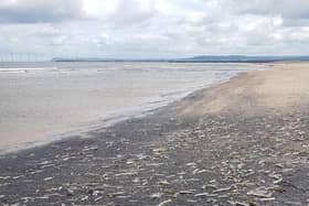 Earlier this month, dead marine life was discovered along the coastline from Hartlepool to Whitby