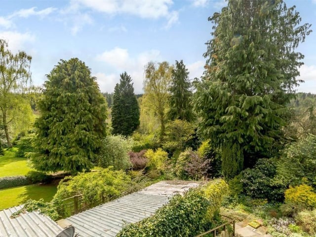 A wide variety of trees are to be found in the rear gardens of Fir Tree.