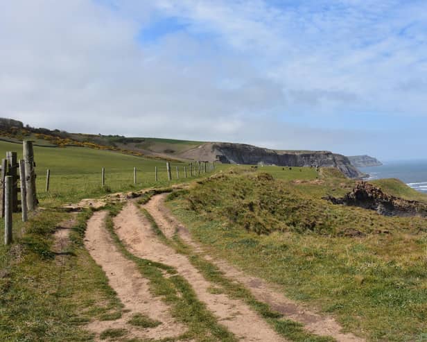 Dirt trek worn along the sea cliff of Robin Hood's Bay, on the Coast to Coast trail.