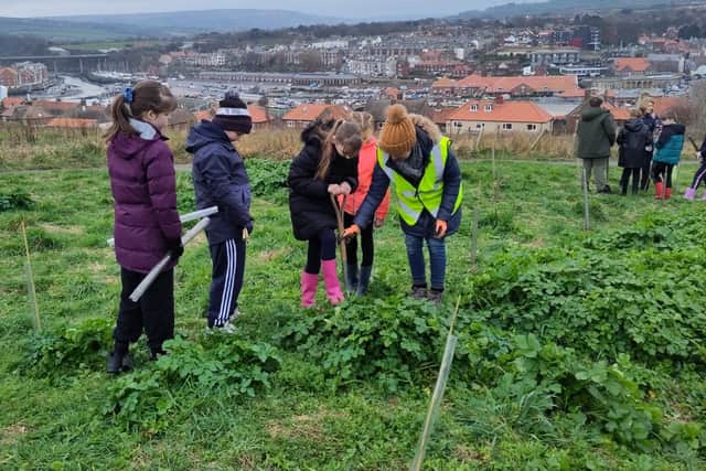 Youngsters from East Whitby Academy planting trees.