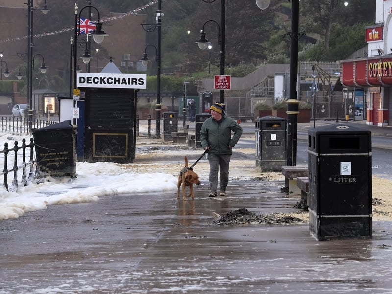 This dog and their owner are braving the storm for a rather soggy walk. Photo: Richard Ponter