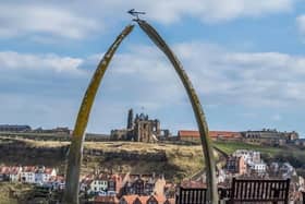 Data shows just 43 per cent of Key Stage 2 children in Scarborough and Whitby (pictured) achieved expected levels in reading, writing and maths, compared with 55.3 per cent across North Yorkshire and 58.7 per cent nationally.
