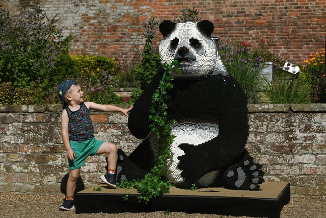 Here is four-year-old Douglas Abbott, with a giant panda.