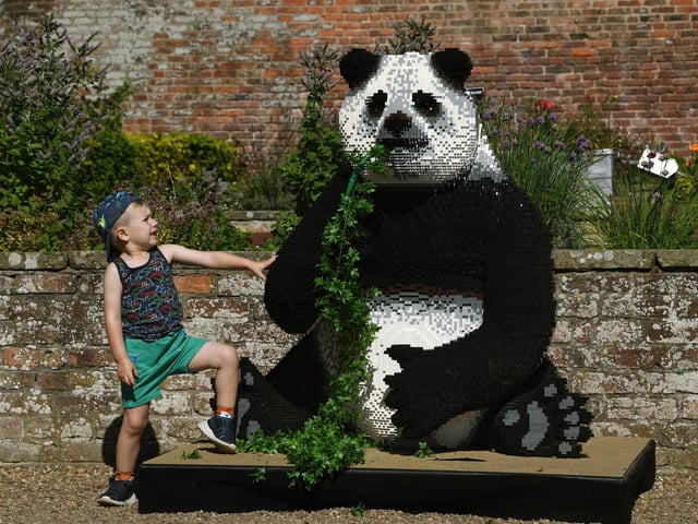 Here is four-year-old Douglas Abbott, with a giant panda.